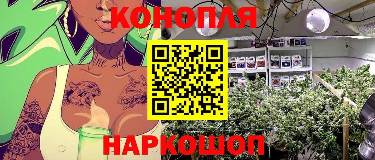 Бошки марихуана VHQ  Бошки марихуана AK-47  Лыткарино  Марихуана конопля  Вход с VPN 